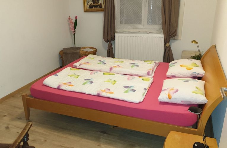 NEU : OERLIKON - PRIVAT WOHNUNG gallery_3