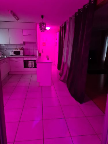 Diskrete Zimmer, Sexjob gallery_4