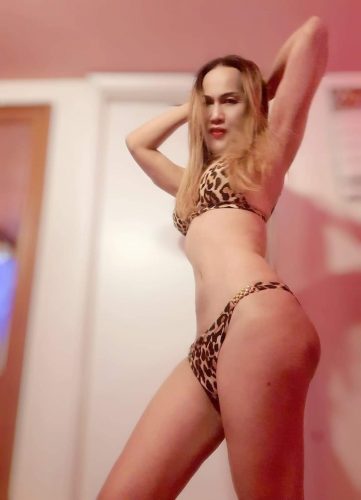 Thai Trans aus Aargau gallery_2