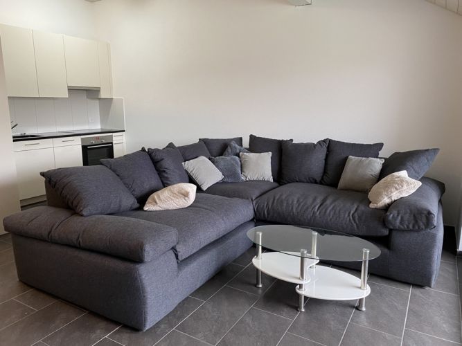 Luxuswohnung im Raum Winterthur gallery_1
