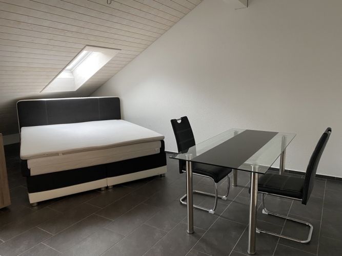 Luxuswohnung im Raum Winterthur gallery_0