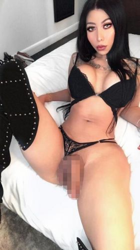 TRANSSEXUAL PROFESSIONAL AND DISCREET. gallery_0