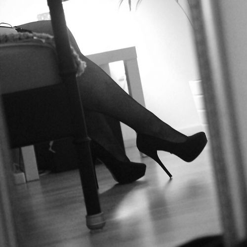 WIENER LUDER IST WIEDER DA gallery_2