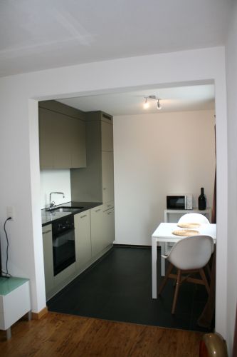 APARTMENT PRIVAT & LUXURI&Ouml;S & BEWILLIGT & PARKING gallery_2