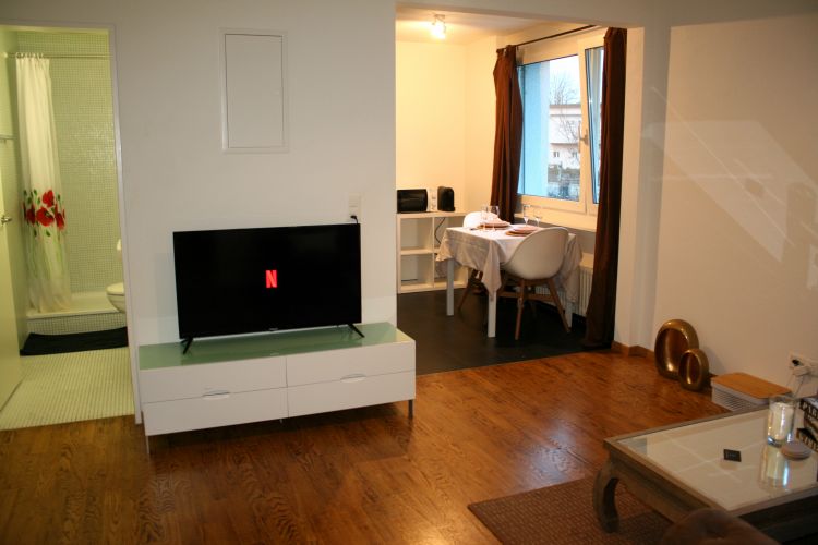 APARTMENT PRIVAT & LUXURI&Ouml;S & BEWILLIGT & PARKING gallery_0