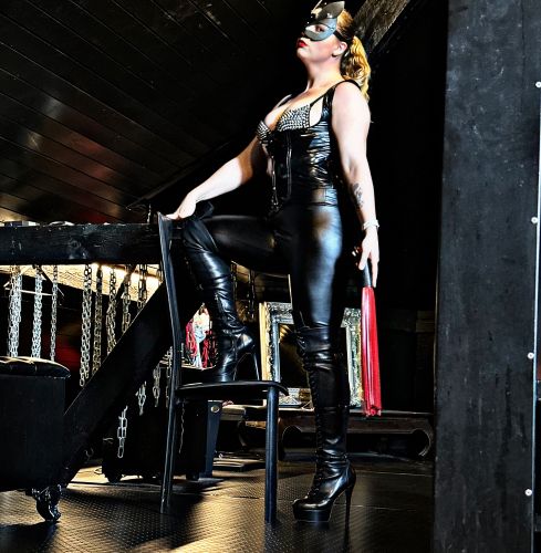 Dominanz der Extraklasse gallery_10