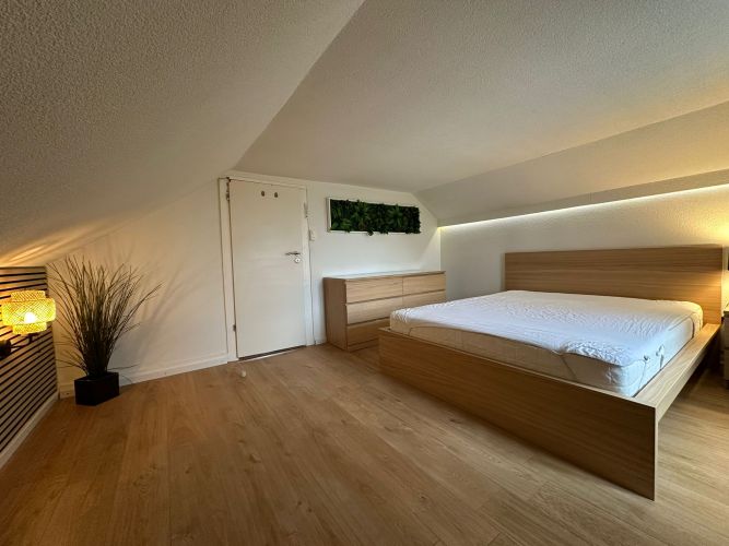 Zimmer frei in schönen Apartments/Kantone ohne Quellensteuer gallery_3