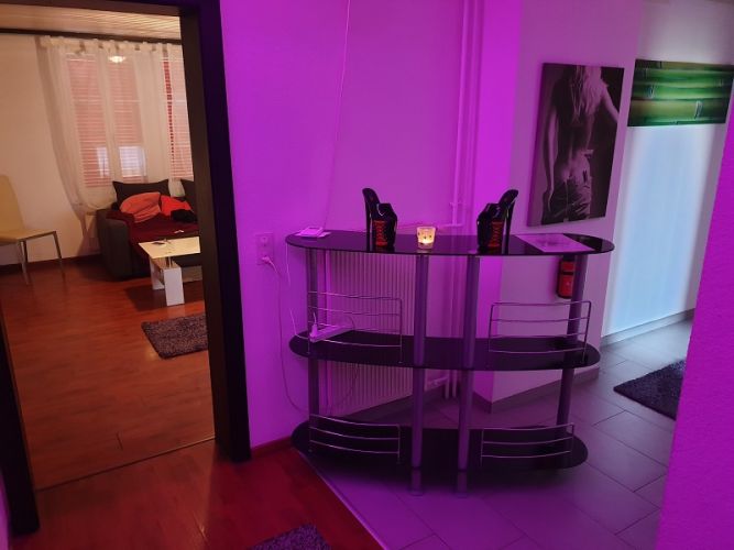 ✅ Zimmer frei in Rothrist! ✅ Werbung inklusive! gallery_1