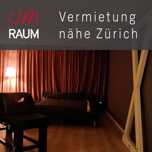 Ausgestatteter SM Raum zu vermieten - n&auml;he Z&uuml;rich gallery_0